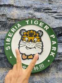 來東北虎林園和虎兒們近距離接觸 適合溜娃好地方