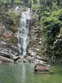 感受神級養肺之旅，在鼎湖深呼吸