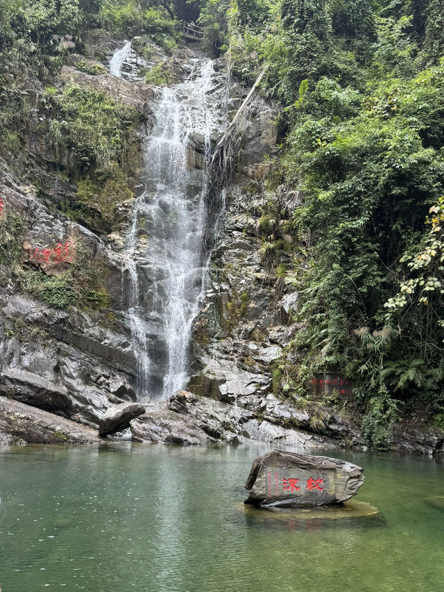感受神級養肺之旅，在鼎湖深呼吸