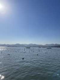 🏞️ West Lake – ทะเลสาบซีหู (西湖) 🇨🇳