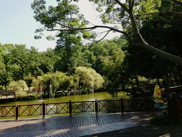 🌲 東勢林場 - 台中森林療癒系遊樂區