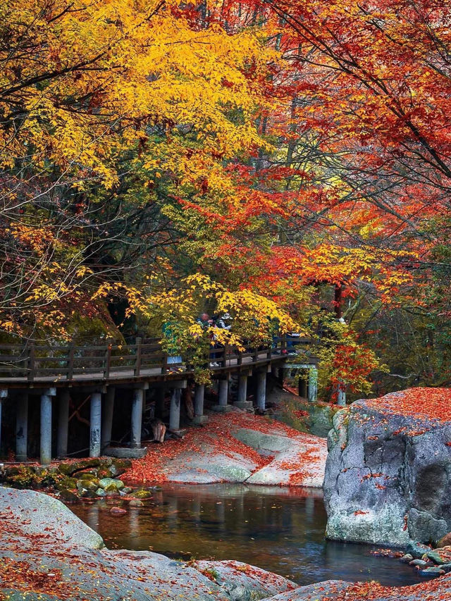 🍂 Guangwu Mountain – The Autumn Paradise of Sichuan 🍂