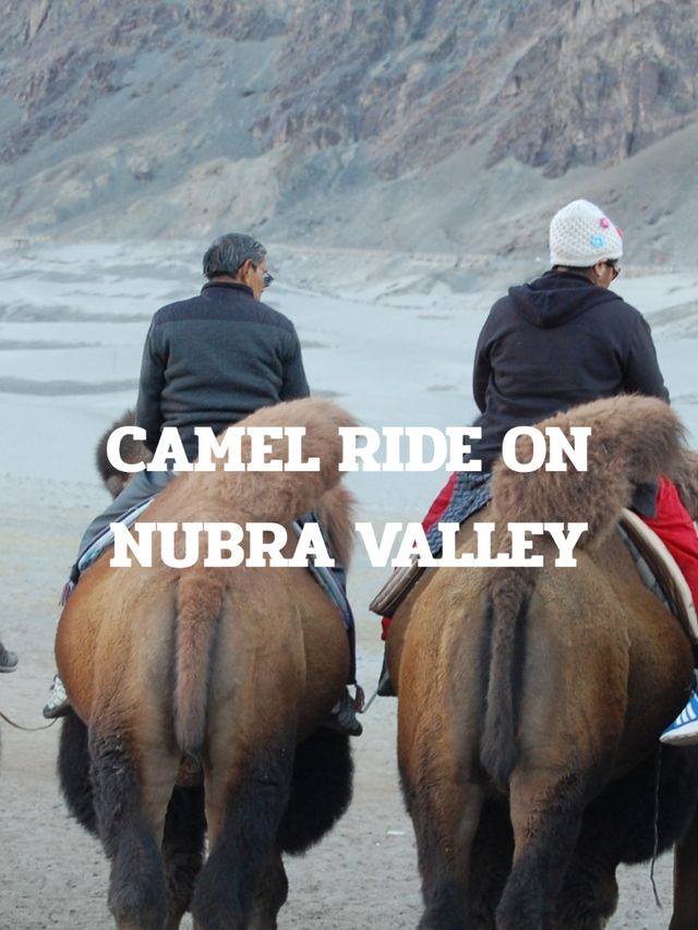 NUBRA VALLEY TRIP