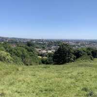 Barley Valley Nature Reserve – Hidden Hills & Meadows Above Exeter