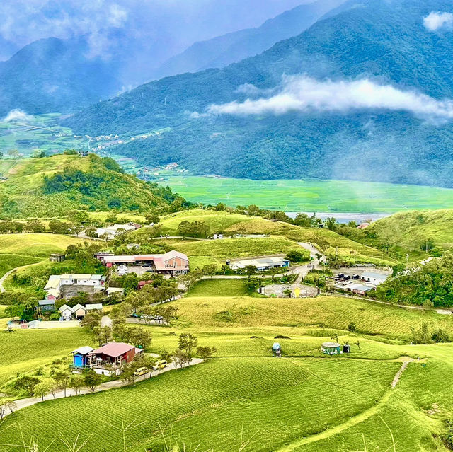 卡通玩偶貓貓蟲咖波及金針花仙子朵拉在六十石山等你同框