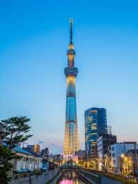 A Memorable Visit to Tokyo Tower