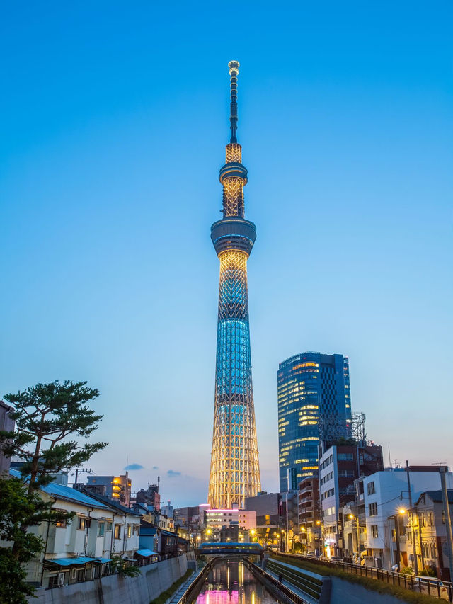 A Memorable Visit to Tokyo Tower