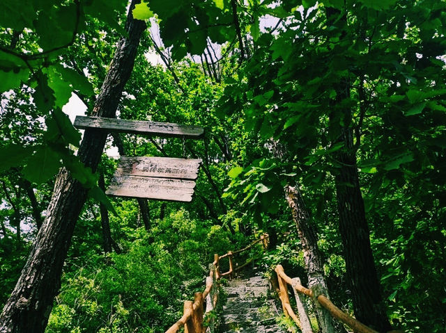 和睦森林公園🇨🇳