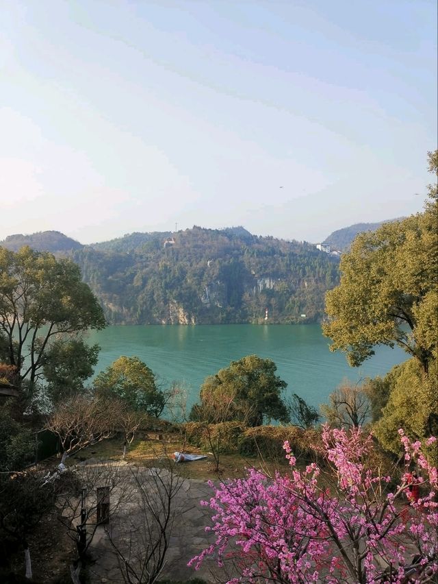 🏔️ จางเจียเจี้ย เมืองแห่งขุนเขาและสวรรค์บนดิน