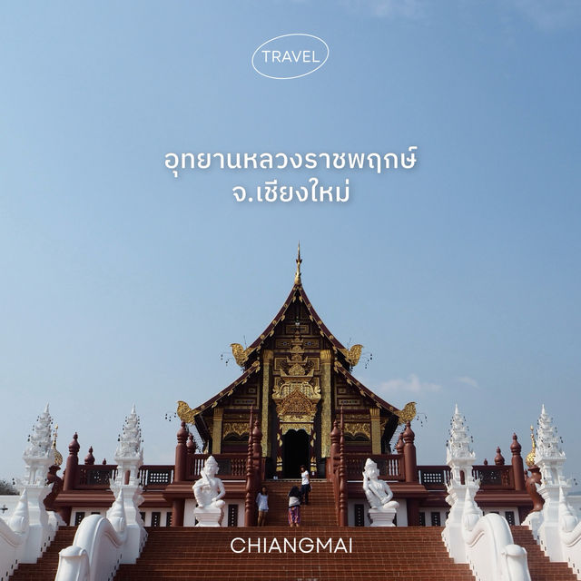 อุทยานหลวงราชพฤกษ์ จ.เชียงใหม่ คนรักดอกไม้ห้ามพลาด