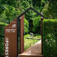 Into The Forest