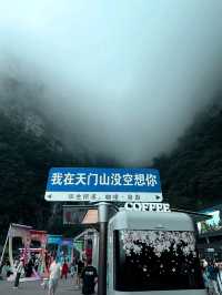Misty Mountain Thrills⛰️