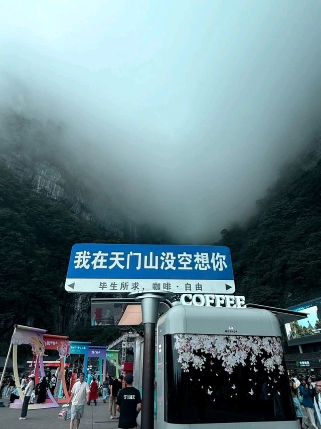 Misty Mountain Thrills⛰️