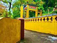 Castle Peak Monastery (Tsing Shan Monastery) – A Spiritual Escape Above the City