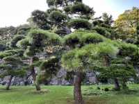 Imperial Palace East National Gardens