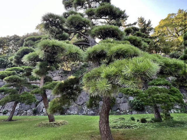 Imperial Palace East National Gardens