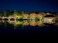 夜まで楽しめる🌃✨東京紅葉スポット