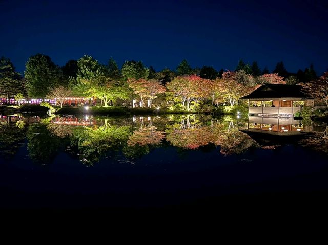 夜まで楽しめる🌃✨東京紅葉スポット 夜まで楽しめる🌃✨東京紅葉スポット
