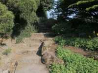 Royal Botanic Garden Edinburgh