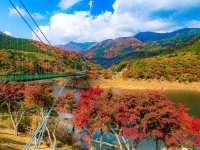 自然がいっぱい🌳那須の紅葉スポット