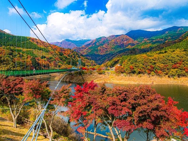自然がいっぱい🌳那須の紅葉スポット
