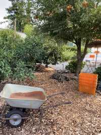 Jeju’s Cutest Café — The Giant Orange Basket!