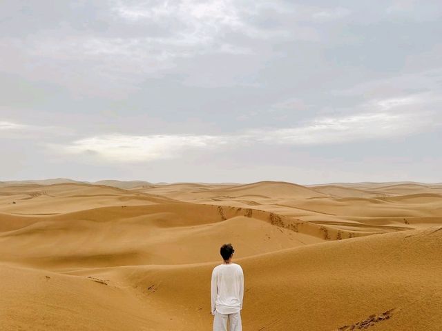Desert Daydreams✨