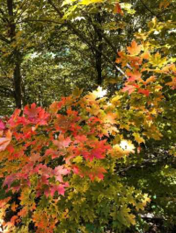 玩轉米爾頓田園風光