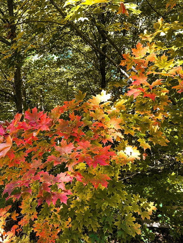 玩轉米爾頓田園風光 玩轉米爾頓田園風光