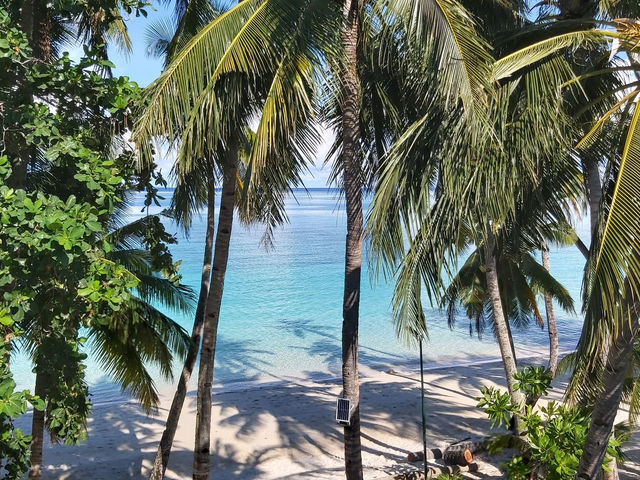 Island Bliss🍹