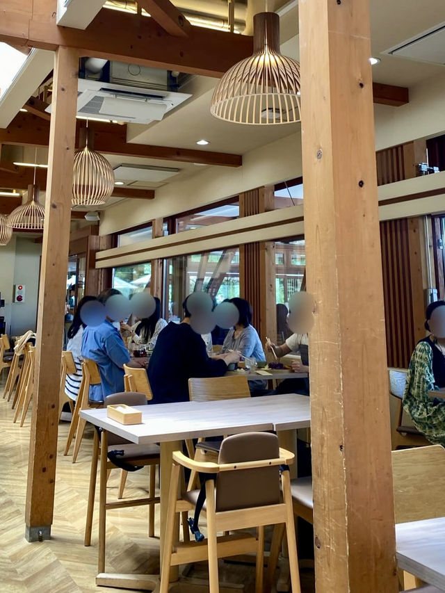 🌿 Lunch with a View at EVERYONESCAFE