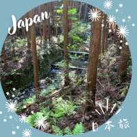 【和歌山】熊野古道🏯 中辺路で出会う歴史の祈りの場