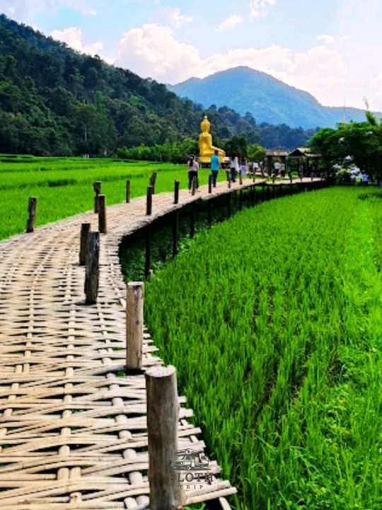 🌹วัดนาคูหา จังหวัดแพร่