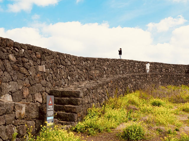 A Window into Jeju's Defensive Past