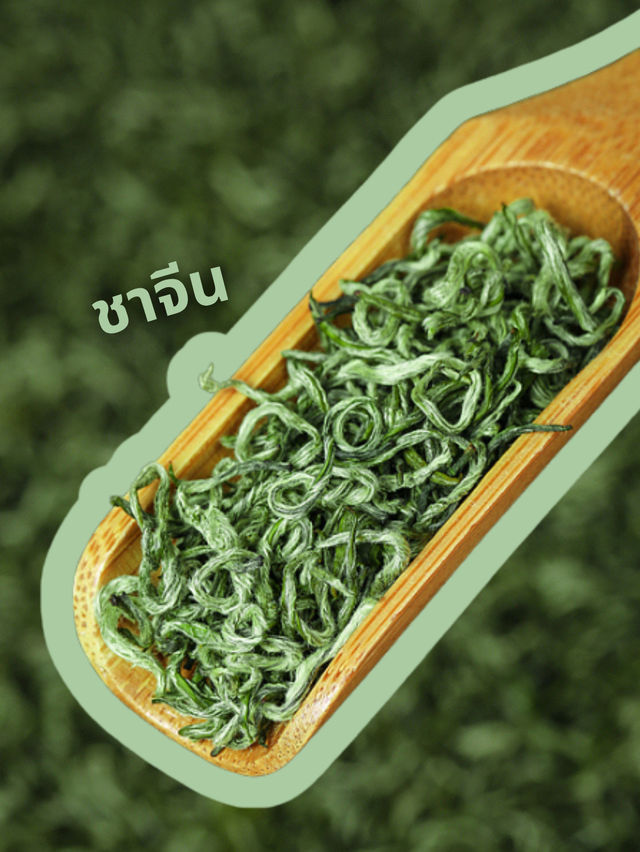 แนะนำ 9 ของฝากเซี่ยงไฮ้ ซื้อไปไม่มีผิดหวัง 🛍️