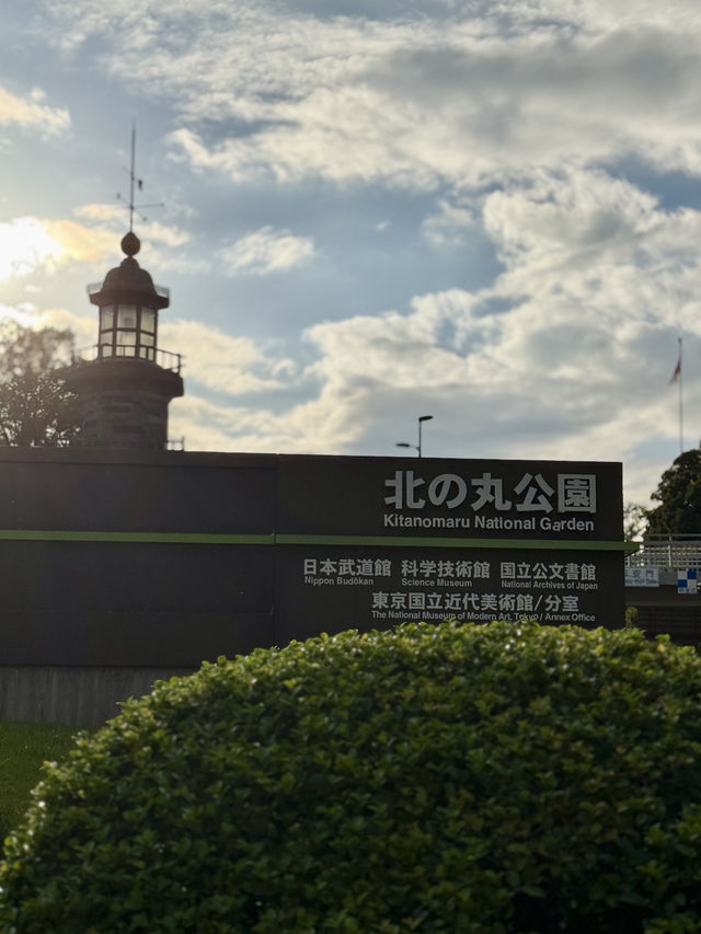 🍁 Autumn Stroll Around Nippon Budokan & Kitanomaru Park