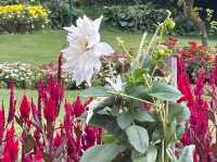 Jawaharlal Nehru Memorial Botanical Gardens