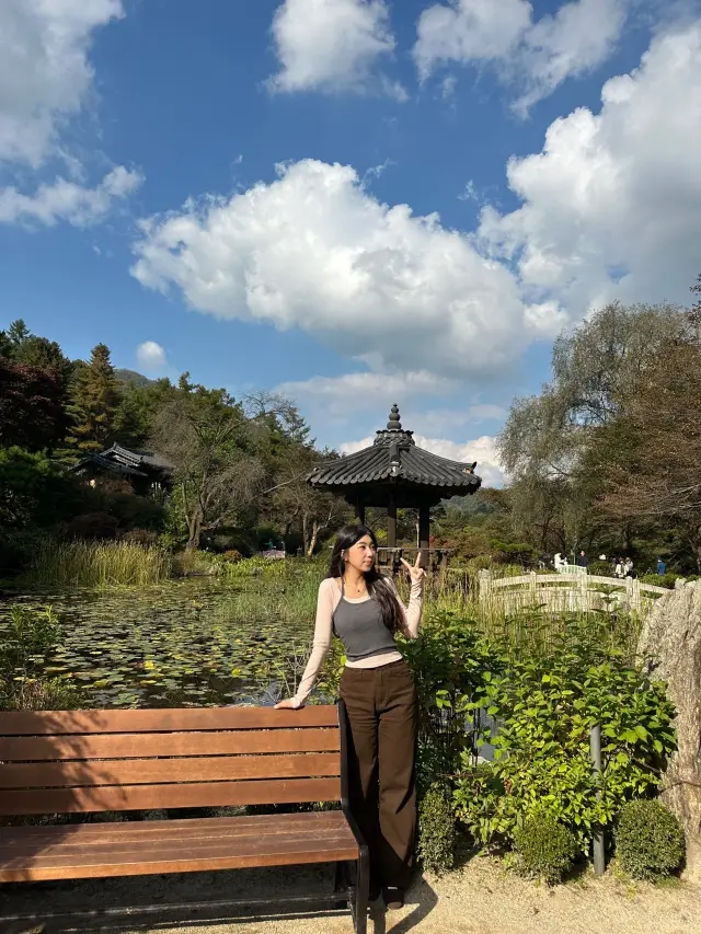 🍂 가을 산책하기 딱 좋은 곳, 아침고요수목원