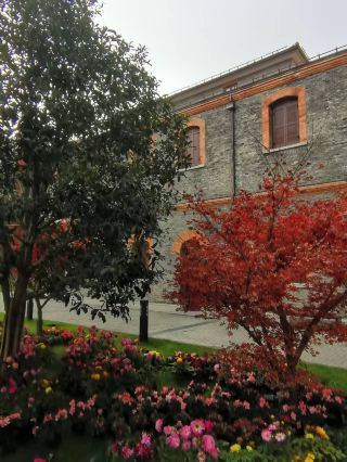 The Ba Jin Library: A Historic Gem in Shanghai