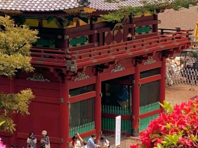 🌸 Nezu Shrine – A Serene Escape in Tokyo’s Old Neighborhood