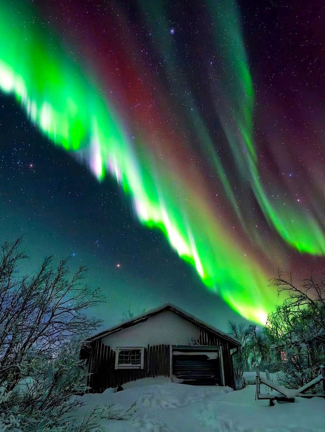 新西蘭🇳🇿 ‖ 南半球追光 新西蘭🇳🇿 ‖ 南半球追光