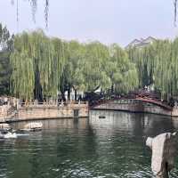🚶‍♀️Jinan City Walk — From Springs to Old Streets