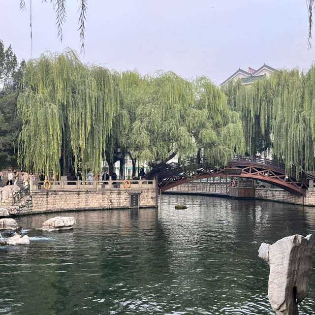 🚶‍♀️Jinan City Walk — From Springs to Old Streets