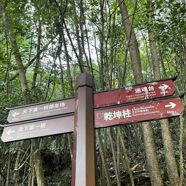  Zhangjiajie East Gate — A One-Day Journey Through Peaks, Clouds & Surprises