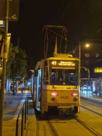 헝가리 부다페스트 여행 : parliament viewpoint 🇭🇺