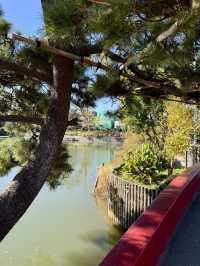 🍁 Autumn Reflections at a Secret Shrine Pond
