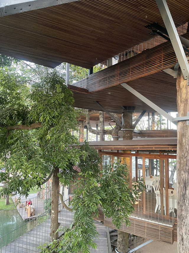 เที่ยวบ้านต้นไม้ริมทะเล ใกล้สนามบินชุมพร 