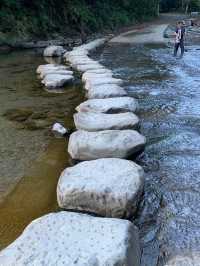 雙流國家森林遊樂區