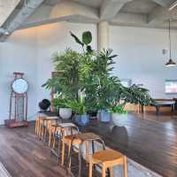 ๐์ธ์ฐ ๋๊ตฌ ๋ํ ์นดํ ์ธ์ผ์ค์ปคํผ