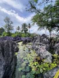 Paku Garden: A Scenic Nature Escape